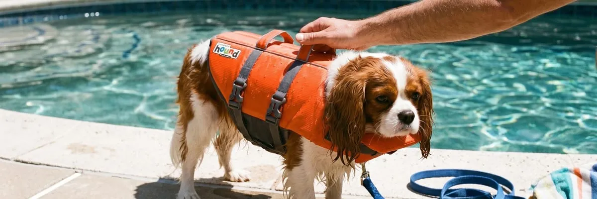 img of Outward Hound Granby Splash Life Jacket Review: What Thousands of Owners Say
